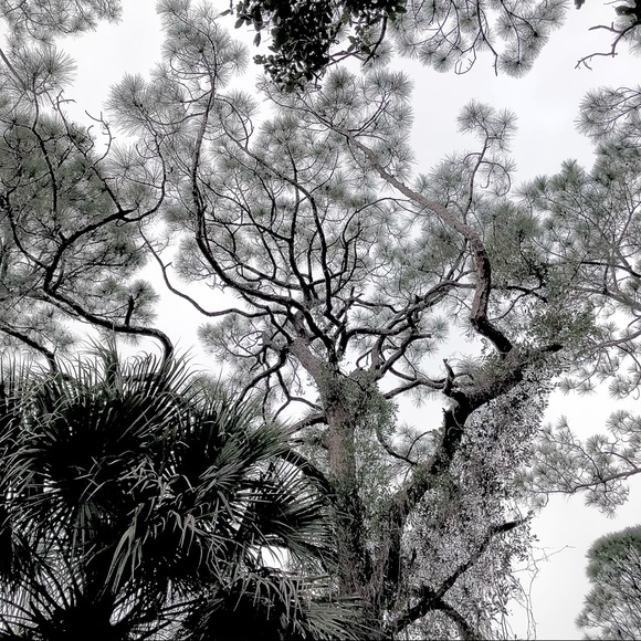 Meet your Posher, Colby - Picture 5 of 8